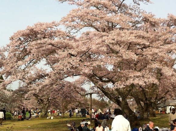 a0152078_9444734.jpg