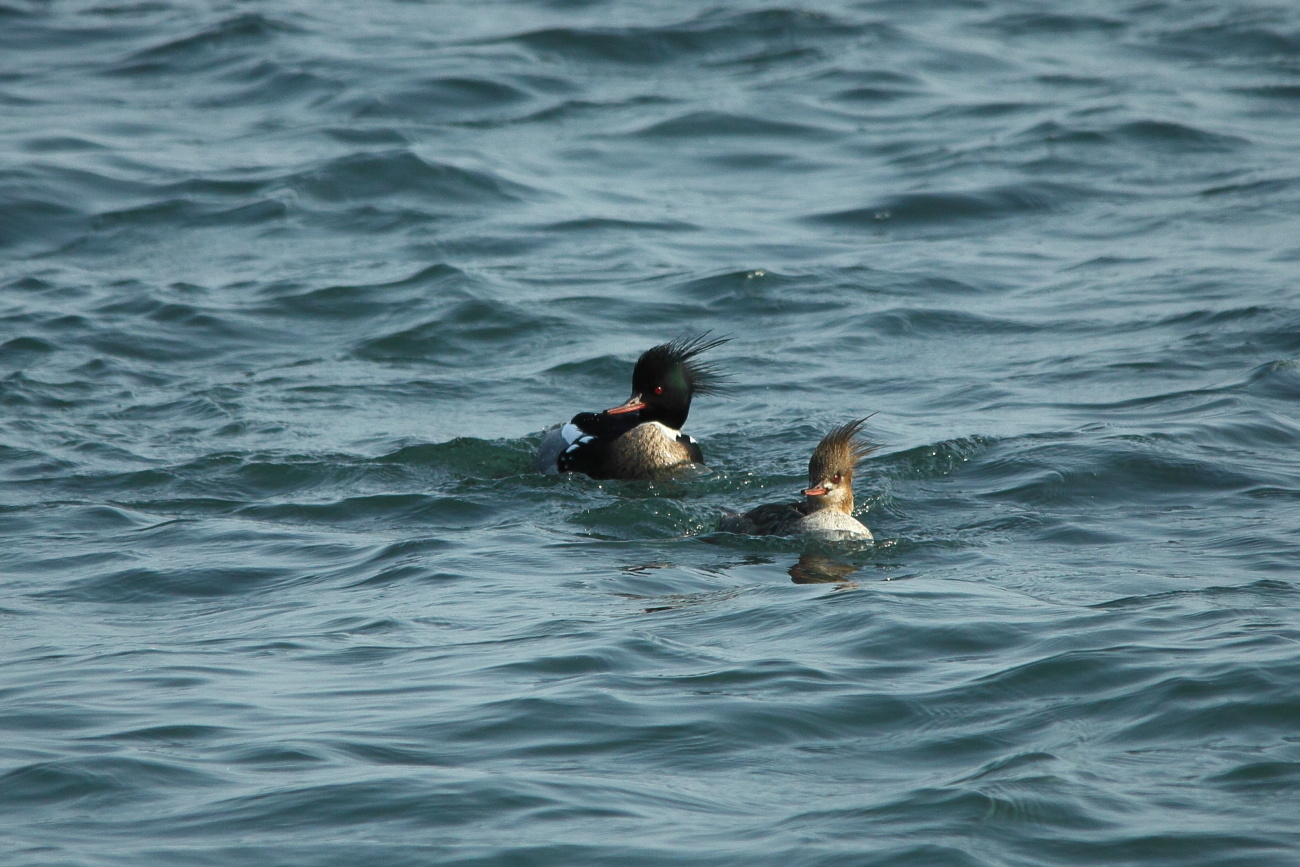 e0249878_22013174.jpg