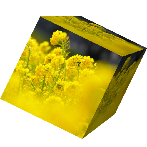 e0340485_13421461.png