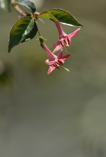 e0353790_15551909.jpg