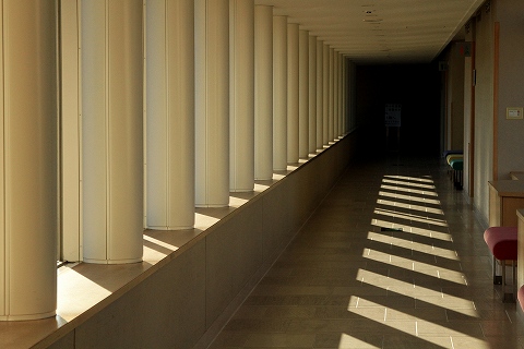 a0222494_175417.jpg