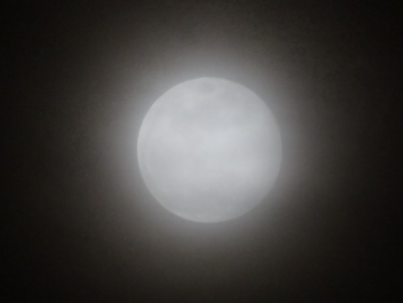 a0125598_21343089.jpg