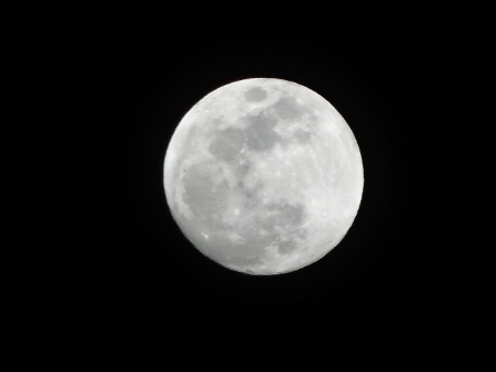 a0125598_21431152.jpg