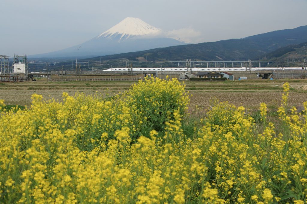 a0188405_14585056.jpg