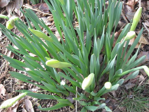 f0327308_09455509.jpg