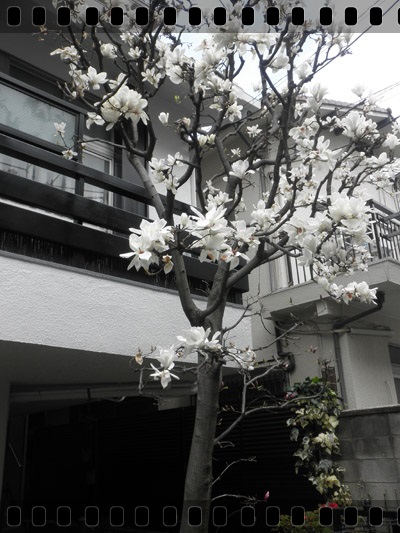 c0157412_1125726.jpg