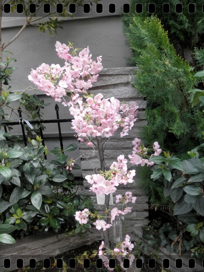 c0157412_1131838.jpg