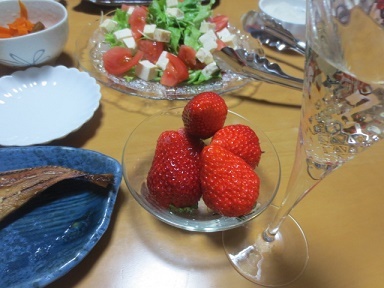 f0248616_08594753.jpg