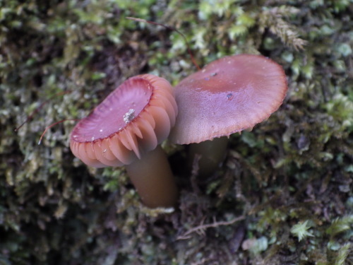 e0352220_21212471.jpg
