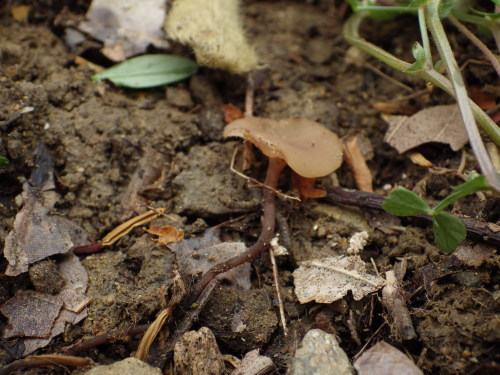 e0352220_21225861.jpg
