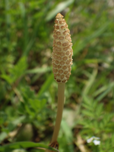 e0352220_21273837.jpg