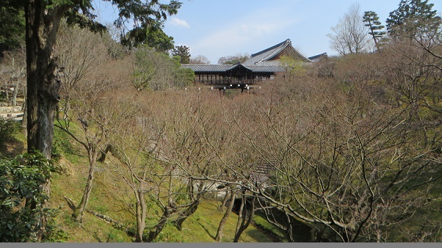 c0280322_14092446.jpg