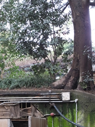 c0188928_22392063.jpg