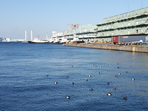 e0016828_11323081.jpg