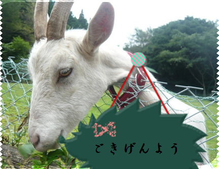 a0206332_1001033.png