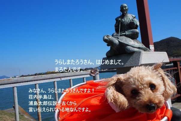 b0149340_2024491.jpg