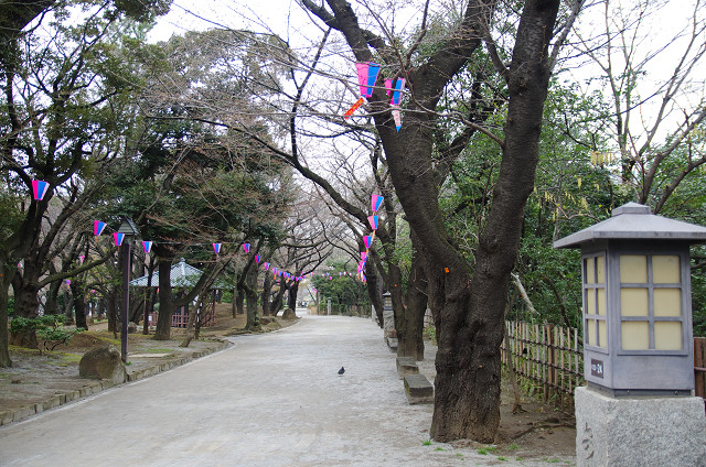 c0080357_23583664.jpg
