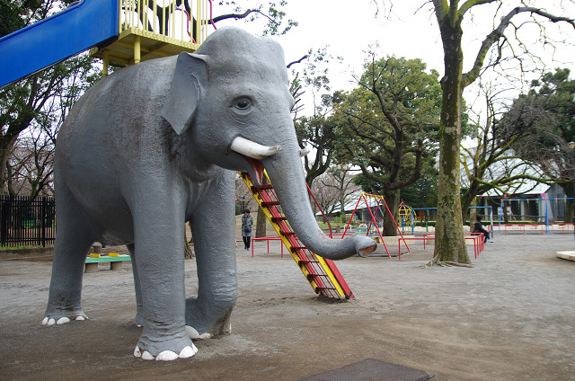 c0080357_23584758.jpg