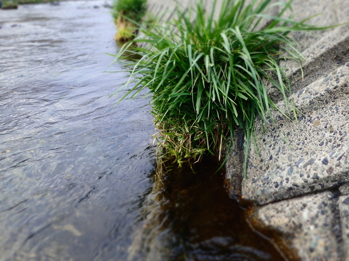 e0212759_0514798.jpg