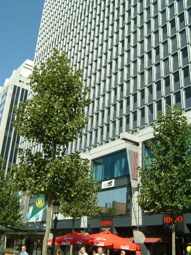 d0054865_20582820.jpg