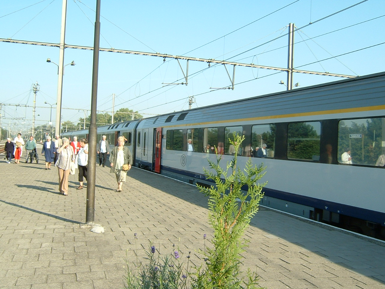d0054865_2175482.jpg