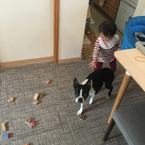 d0041575_21494973.jpeg