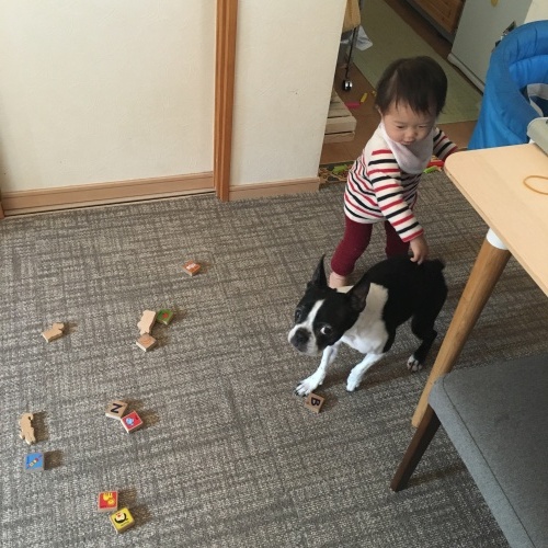 d0041575_21502482.jpeg