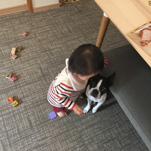 d0041575_21505168.jpeg