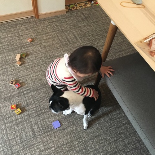 d0041575_21511100.jpeg