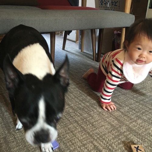 d0041575_21525219.jpeg