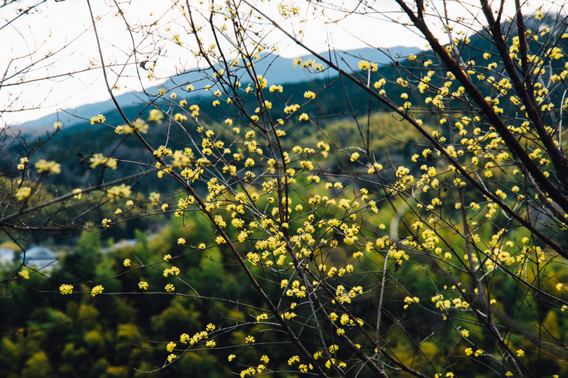 a0301676_09011798.jpg