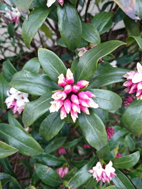 f0071477_07180672.jpg