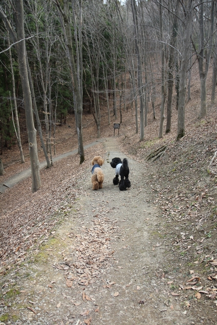 c0283778_11263317.jpg