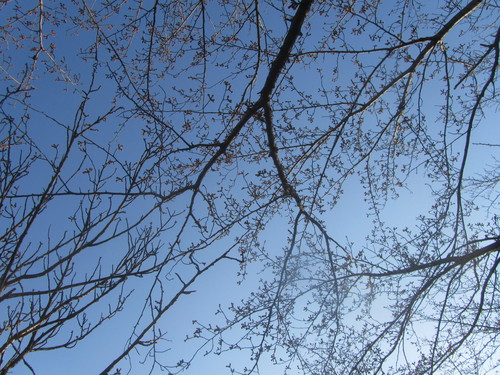 a0233390_132044.jpg