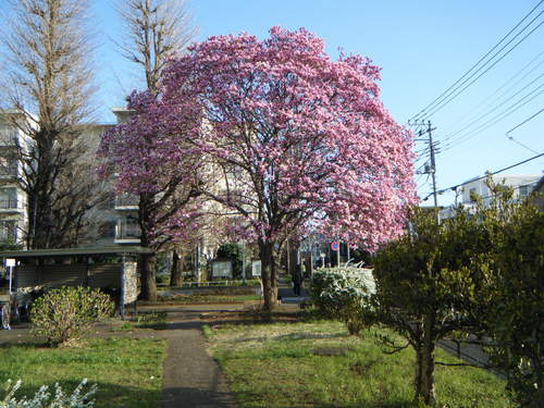 c0283304_7482558.jpg