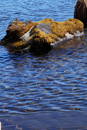 a0251508_22263336.jpg