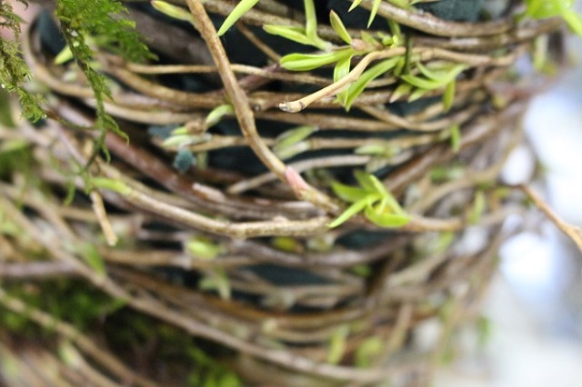 c0178009_2224975.jpg