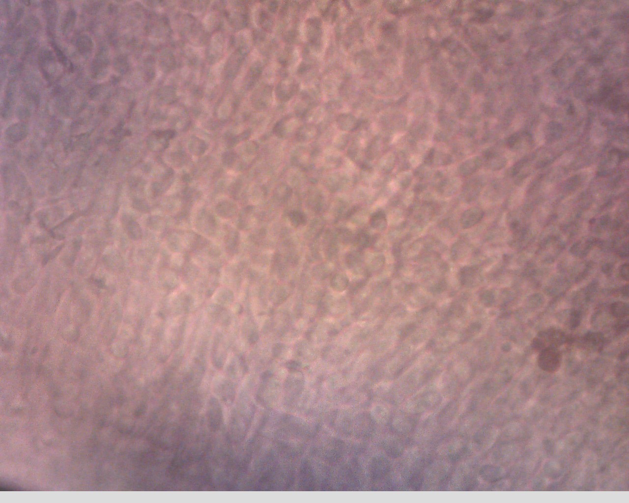 e0352220_18004768.jpg