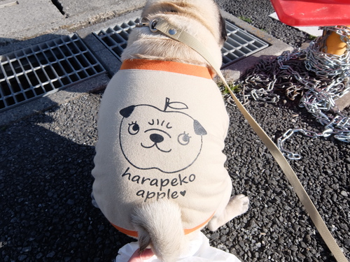 f0128821_21492628.jpg