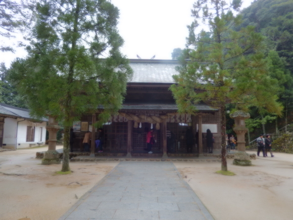 a0226627_837482.jpg