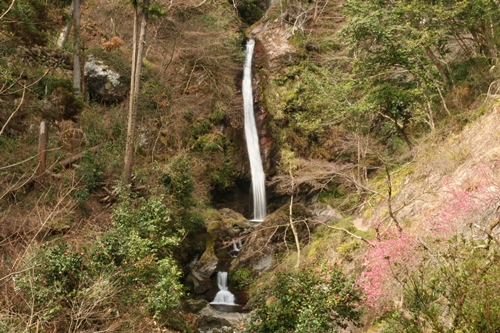 e0033229_20503755.jpg