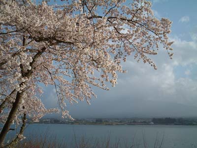 b0042837_2233380.jpg
