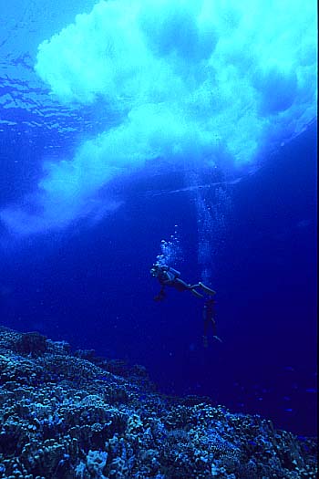 b0042837_22405190.jpg