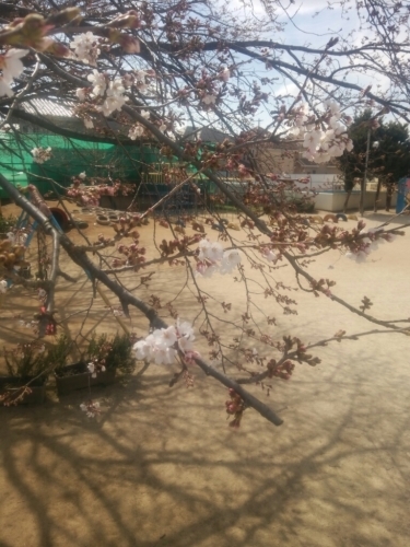 c0335540_19551548.jpg