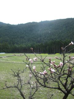 a0054948_8292446.jpg