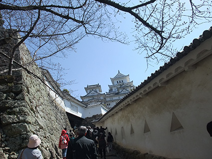b0059664_13531856.jpg