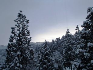 b0079965_175024.jpg