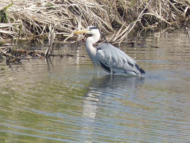f0357487_21343493.jpg