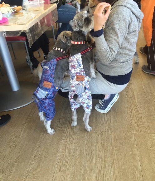 b0188998_23510145.jpeg