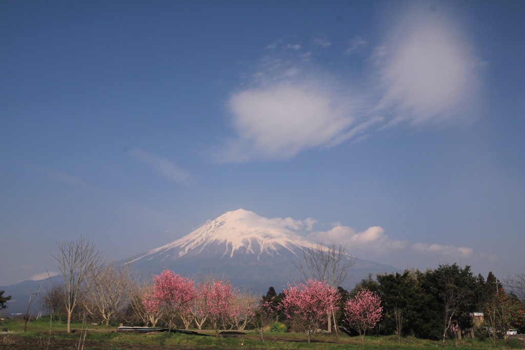 a0188405_16450671.jpg